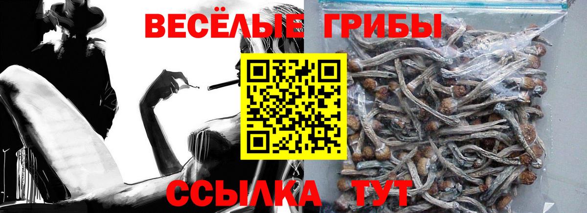 Галлюциногенные грибы Cubensis  Псилоцибиновые грибы Magic Shrooms  Вход с VPN  Мурино 